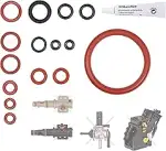 Snapworld-Kaffee Premium Dichtung kompatibel mit Saeco Philips Gaggia Kaffeemaschinen O-Ringe zu ...