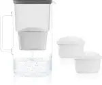 Wessper Wasserfilter Kanne Glas 3 L, Set Wasserkanne und 2 Filterkartuschen, Kompatibel mit Brita Maxtra, Wasserkaraffe für Trinkwasser mit Ersatz Filter- Schwarz